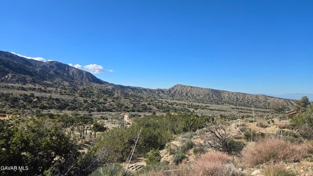 Pinon Road To Mescal Highlands, Llano, CA 93544