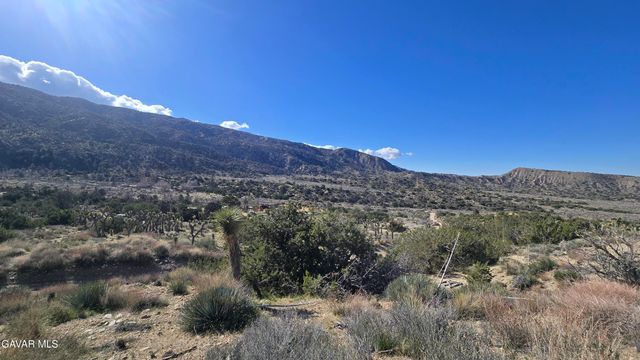 Pinon Road To Mescal Highlands, Llano, CA 93544