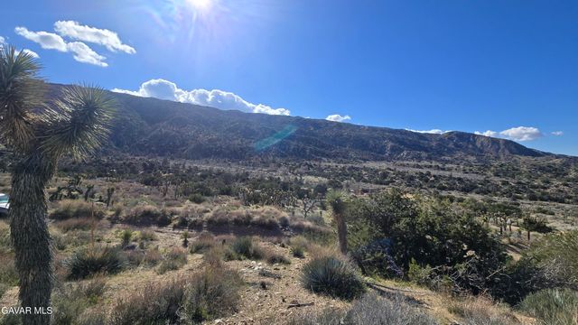 Pinon Road To Mescal Highlands, Llano, CA 93544