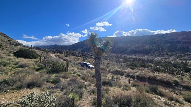 Pinon Road To Mescal Highlands, Llano, CA 93544