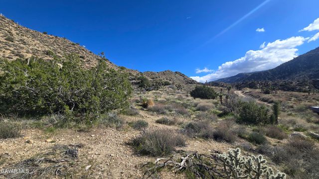 Pinon Road To Mescal Highlands, Llano, CA 93544