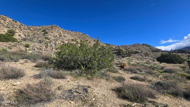 Pinon Road To Mescal Highlands, Llano, CA 93544