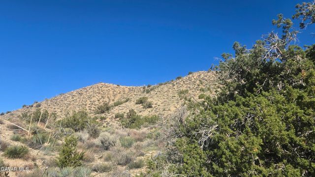Pinon Road To Mescal Highlands, Llano, CA 93544