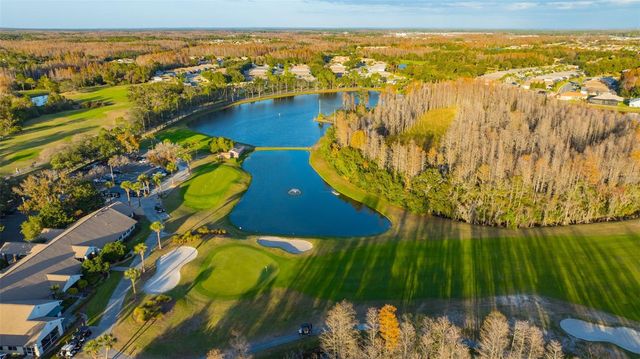 20828 EUSTIS ROAD, Land O Lakes, FL 34637