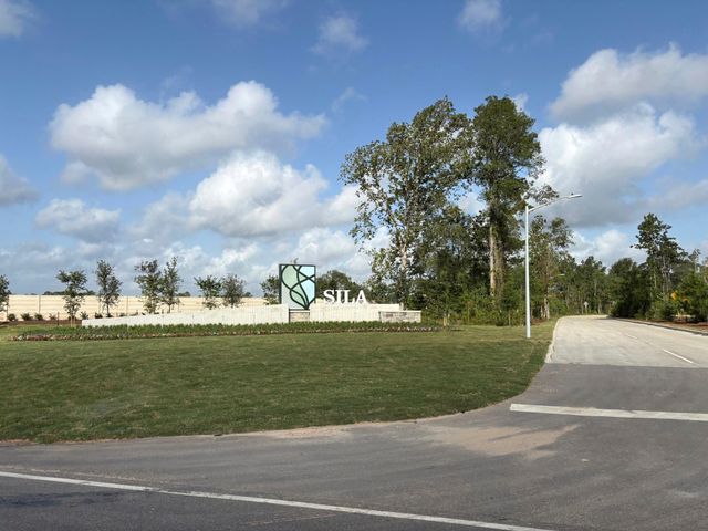 924 Pertuso Lane, Huffman, TX 77336