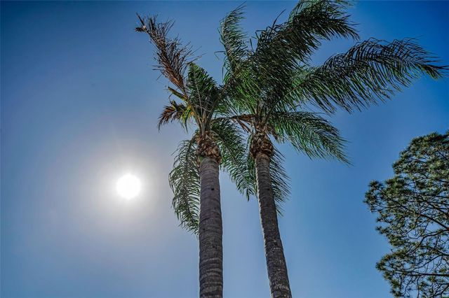 3216 HARVEST MOON DRIVE, Palm Harbor, FL 34683