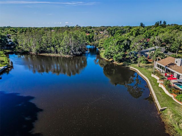 3216 HARVEST MOON DRIVE, Palm Harbor, FL 34683
