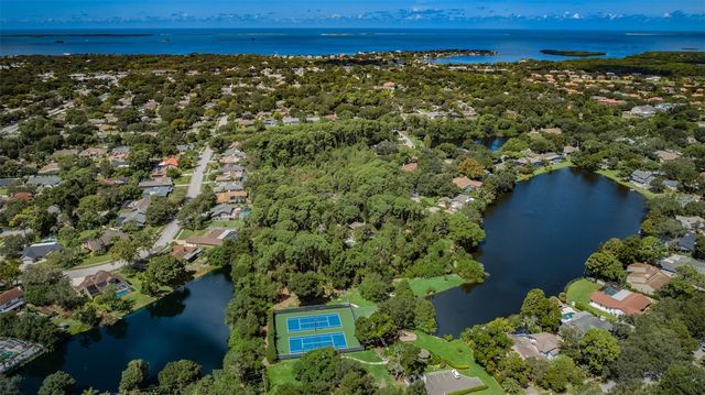 3216 HARVEST MOON DRIVE, Palm Harbor, FL 34683