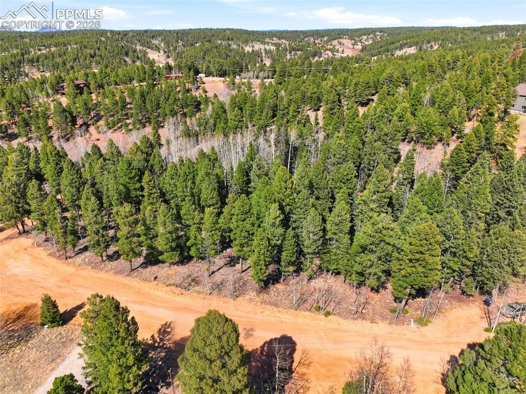 278 Cherry Lake Drive, Divide, CO 80814 — exterior