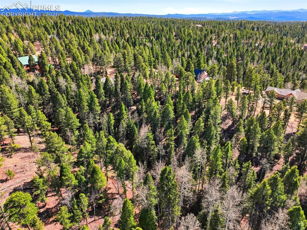278 Cherry Lake Drive, Divide, CO 80814 — photo 3