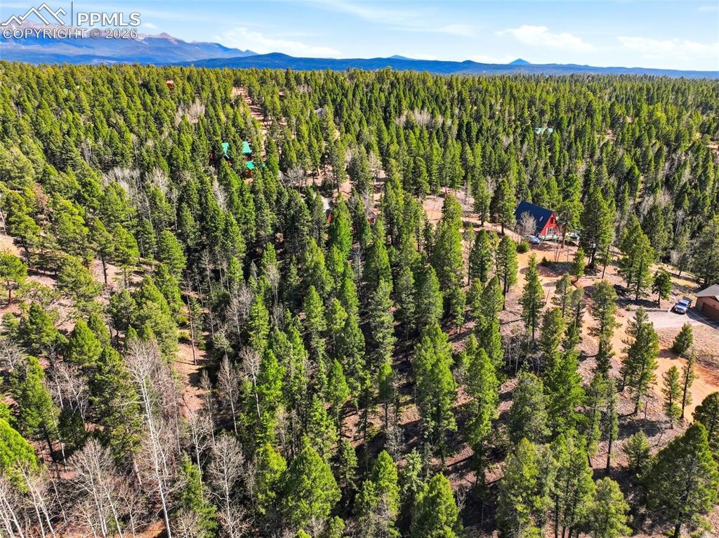 278 Cherry Lake Drive, Divide, CO 80814 — photo 4