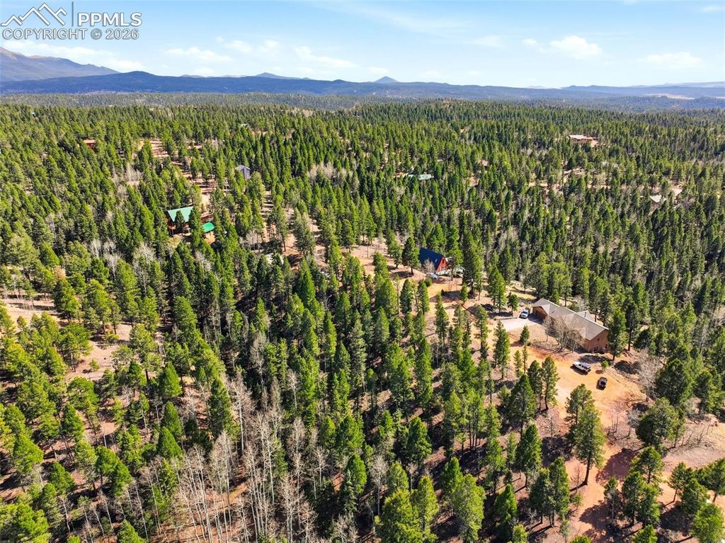 278 Cherry Lake Drive, Divide, CO 80814 — photo 5