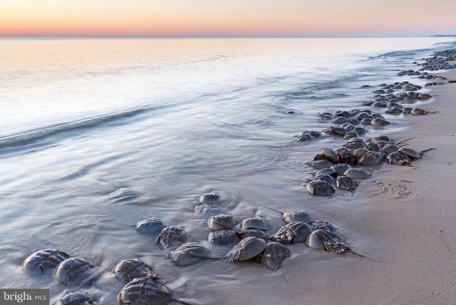 4 LOTS SOUTH LITTLE CREEK RD, Dover, DE 19901