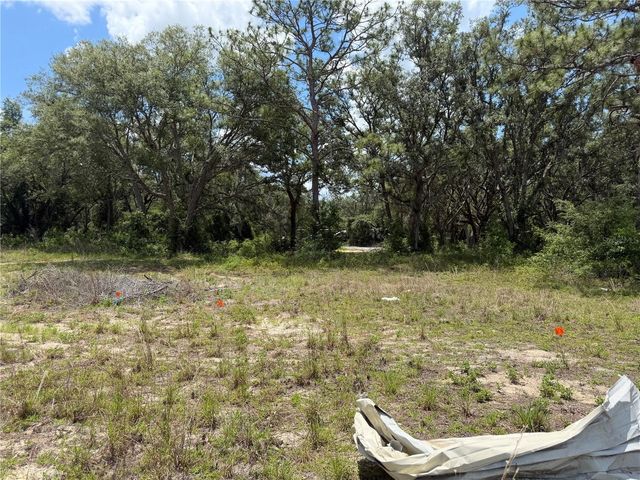 3310 TREIMAN BOULEVARD, Dade City, FL 33523
