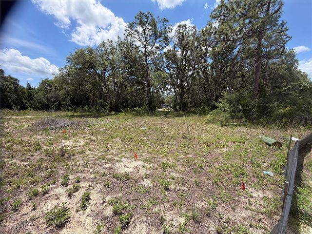 3310 TREIMAN BOULEVARD, Dade City, FL 33523