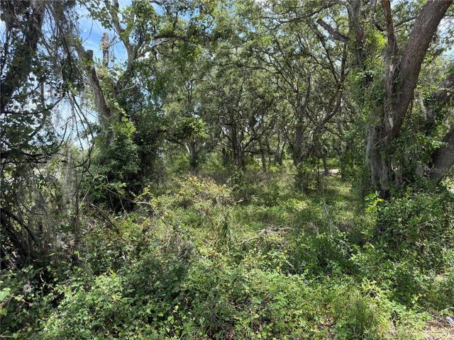 3310 TREIMAN BOULEVARD, Dade City, FL 33523