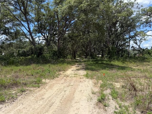 3310 TREIMAN BOULEVARD, Dade City, FL 33523