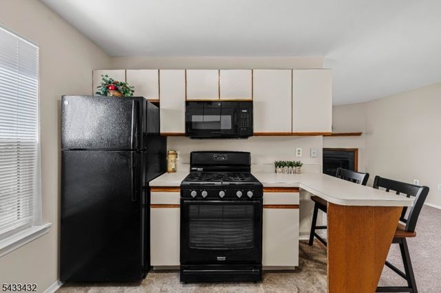 313 Spruce Hills Dr 313, Glen Gardner Boro, NJ 08826