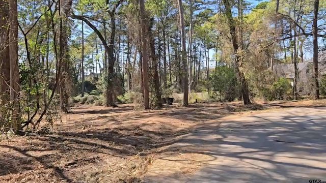 Lot 5 Hickory Lane, Bullard, TX 75757