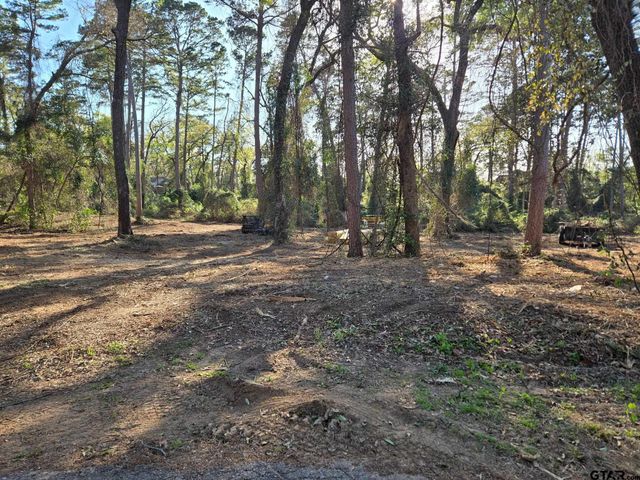 Lot 5 Hickory Lane, Bullard, TX 75757