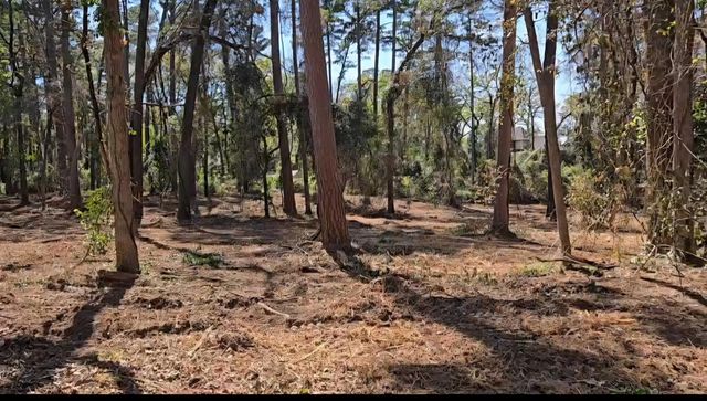 Lot 5 Hickory Lane, Bullard, TX 75757