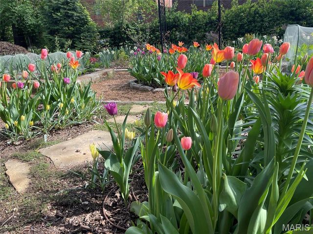 7330 Kingsbury Boulevard, St Louis, MO 63130