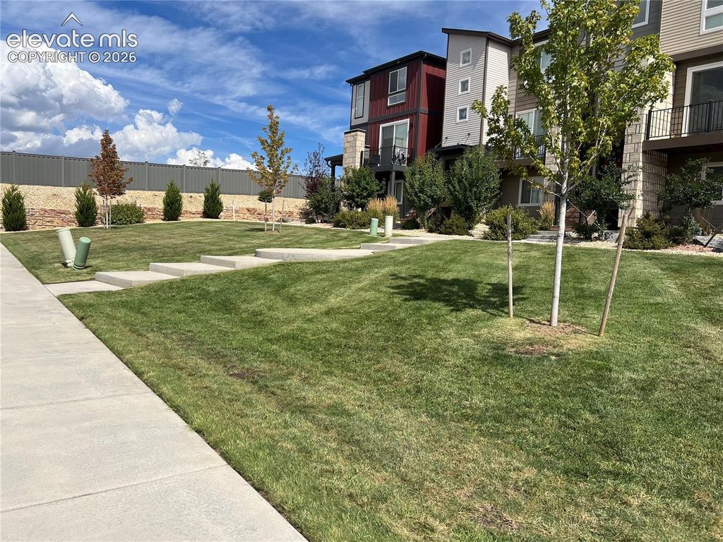 6843 LILY MOUNTAIN Lane, Colorado Springs, CO 80923 — photo 3
