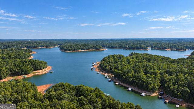 420 Lake Place Drive, Lavonia, GA 30553