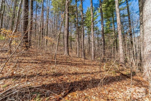 99999 Parker Road 2, Asheville, NC 28805