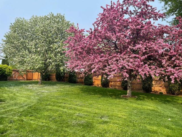 10453 61st Street NE, Albertville, MN 55301