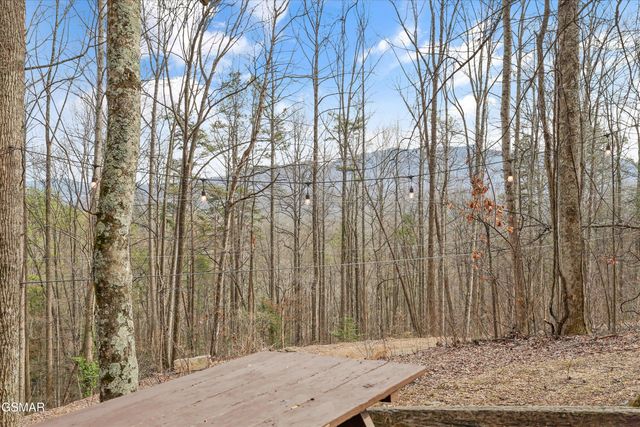 1103 Villa Lane, Gatlinburg, TN 37738
