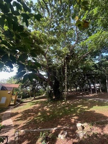 319 VILLA BORINQUEN, Vieques, PR 00765