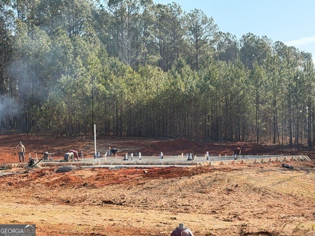 0 Branch Court LOT 4, Newnan, GA 30263