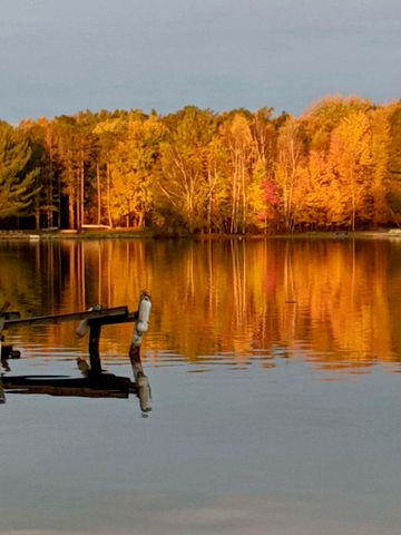 2055 N White Birch Drive, Golden Twp, MI 49436