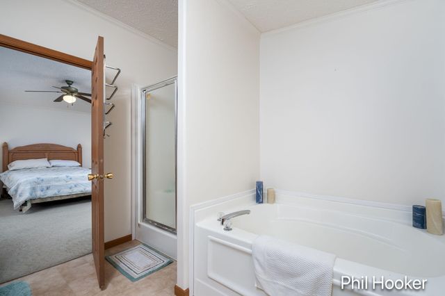 2055 N White Birch Drive, Golden Twp, MI 49436