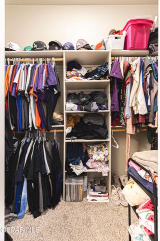 768 Sheephouse Road, El Paso, TX 79928