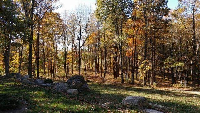 10229 Sugar Camp Creek RD, Bent Mountain, VA 24059