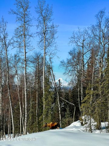 34347 Jabila Drive, Soldotna, AK 99669
