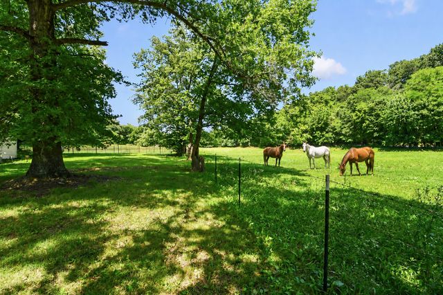 533 Ghan Road, Clever, MO 65631