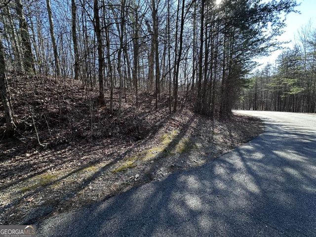 57 St Andrews Way, Ellijay, GA 30536