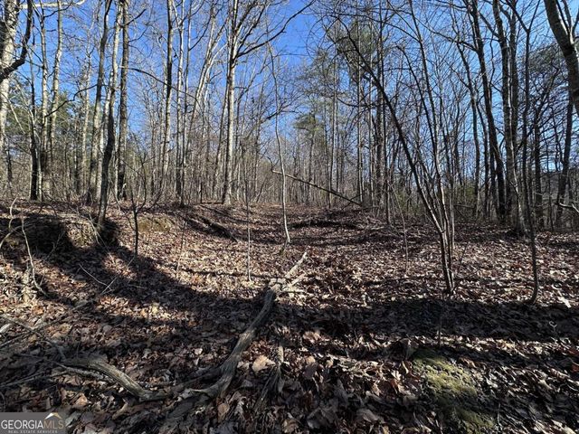 57 St Andrews Way, Ellijay, GA 30536