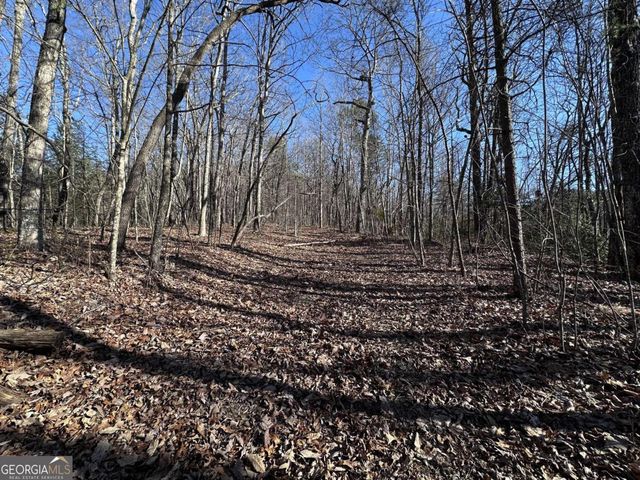 57 St Andrews Way, Ellijay, GA 30536