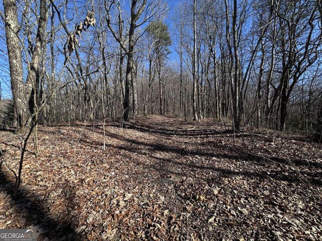57 St Andrews Way, Ellijay, GA 30536