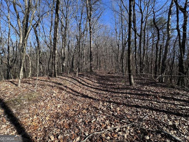 57 St Andrews Way, Ellijay, GA 30536