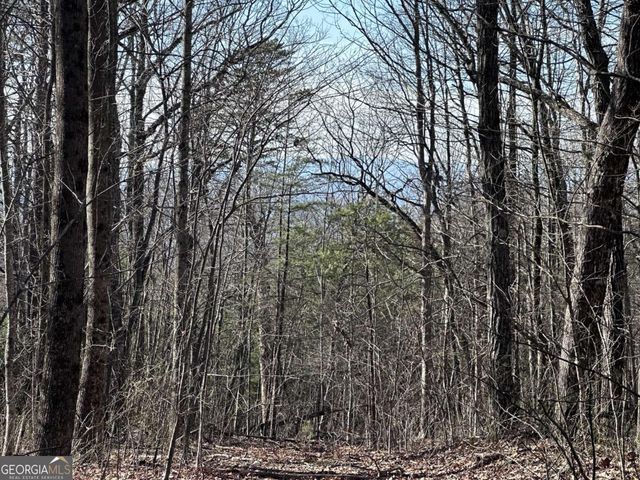 57 St Andrews Way, Ellijay, GA 30536