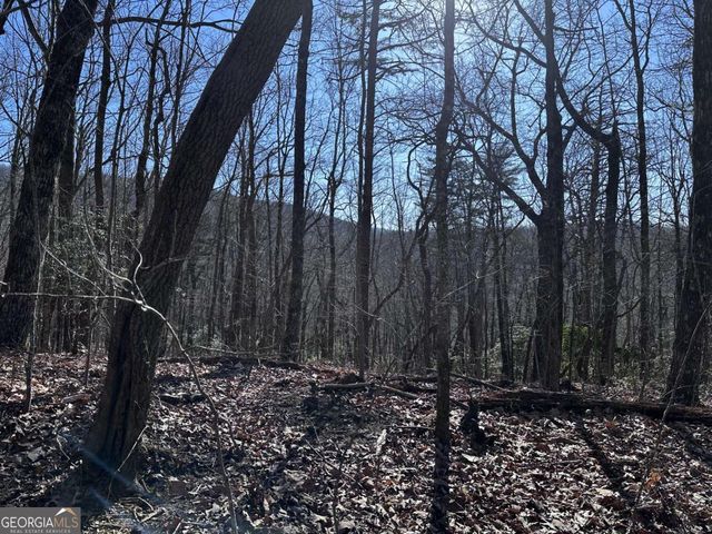 57 St Andrews Way, Ellijay, GA 30536