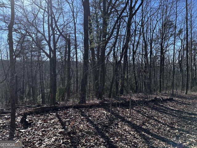 57 St Andrews Way, Ellijay, GA 30536