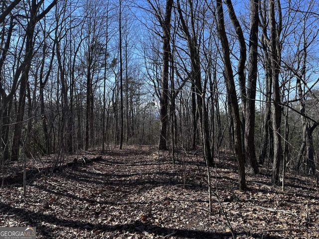 57 St Andrews Way, Ellijay, GA 30536