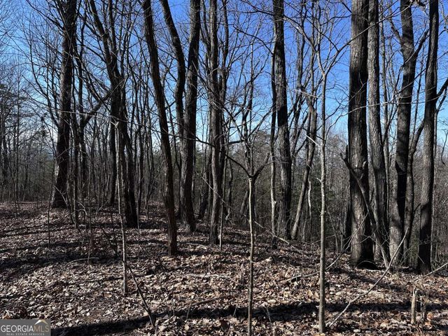 57 St Andrews Way, Ellijay, GA 30536