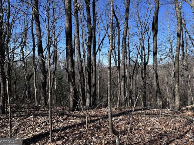 57 St Andrews Way, Ellijay, GA 30536